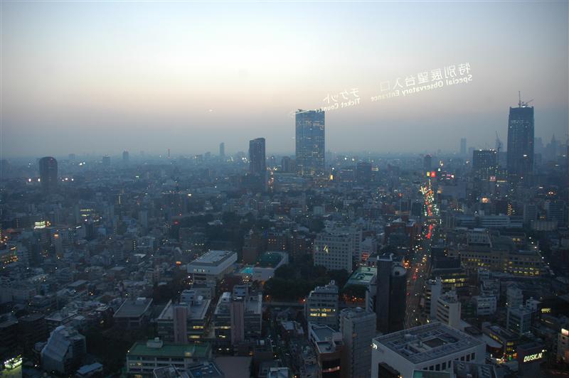 �͂ƃo�X�ŏ��铌���i�C�g�c�A�[