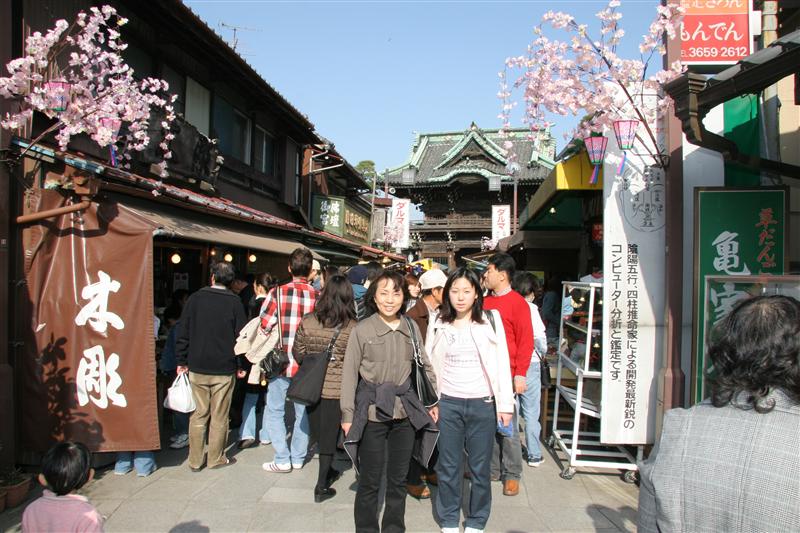 �͂ƃo�X�ŏ��铌���i�C�g�c�A�[