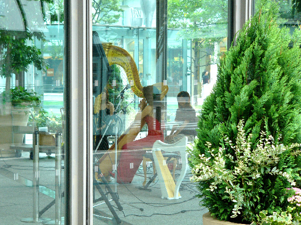 ��������̒���